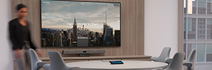 Earpro distribui soluções de videoconferência da fabricante norueguesa Neat