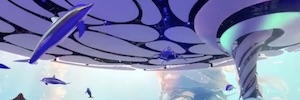 SeaWorld Abu Dhabi creates immersive tours of the oceans and their habitats