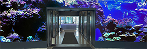 SNA Displays entwirft künstlerische digitale Bögen für ein Bürogebäude