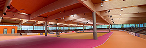 El arena Geisingen renueva su acústica con las soluciones de LD Systems