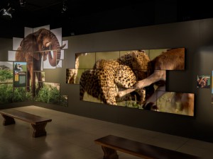 Planar installs an irregular format video wall at the National