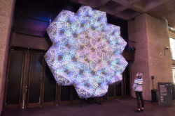 克里斯蒂和巴比肯努米纳