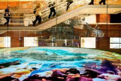 Casa de la historia europea APD