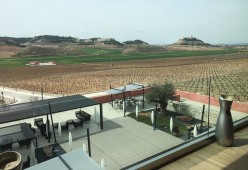 Apart en Bodega Pago de Carraovejas