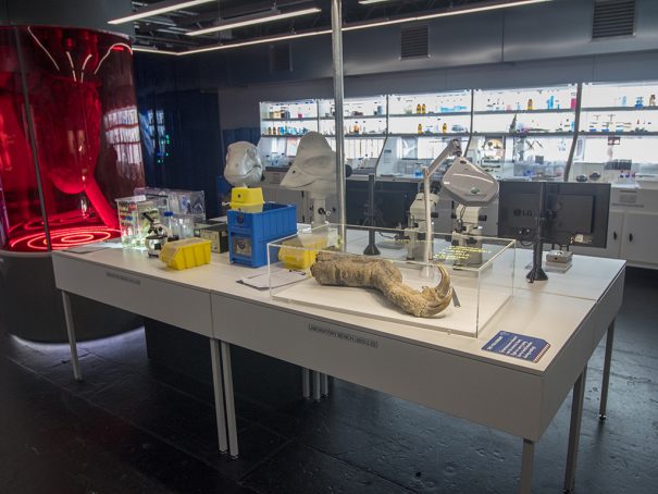 Powersoft Dinosaurs in the Wild (Foto: David Moss)