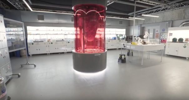 Powersoft Dinosaurs in the Wild