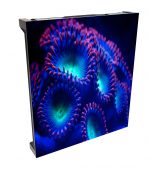 Christie Velvet CorePlus Led