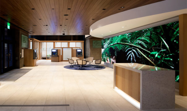 Videowall SAN Display Banco Hawai