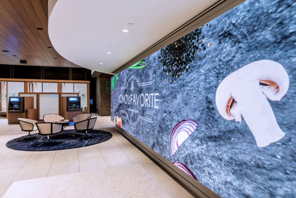 Videowall SAN Display Banco Hawai