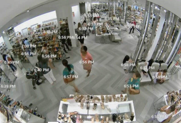 BriefCam Video Synopsis