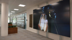 Peerless AV en sede Panasonic UK