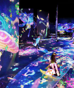 Epson at the Amox Rex museum