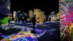 Epson at the Amox Rex museum