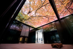 TVOne CorioMaster y Sysco Productions en Fen Court