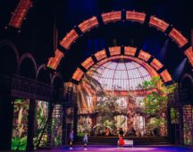 Painting with Light Zoo of Life Panasonic