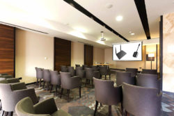 Vivitek 阿姆斯特丹机场凯悦嘉轩酒店