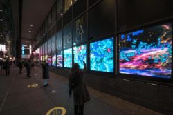 coolture impact Leyard