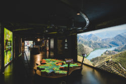 Panasonic en bodega Calem