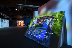 Sonimedia Green Hippo en 62 edicion FIDMA