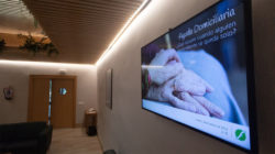 Adalides en Tanatorio Sur Madrid