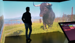 Aumentaty sala inmersiva centro taurino Madrid