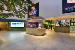 Peerless-AV en The Flower Bowl