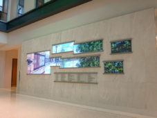 PixelFlex en Universidad de Alabama