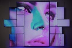 Brightsing Los Gatos NEC Display