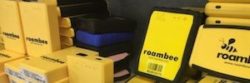 Roambee Ingram Micro-300x100