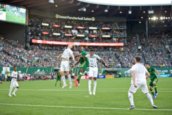 Leyard y Planar Portland Timbers