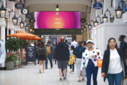 Ocean Outdoor en Kensington