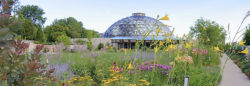 Des Moines Botanical Center
