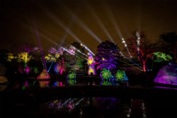 Elation en LumiNature zoo Filadelfia (Foto: Christopher Ash)