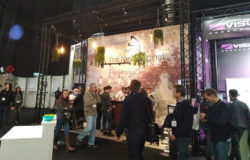 Sisty82 Stonex ISE 2020