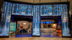 Panasonic Power AV en Atlantis Aquarium