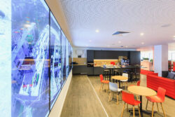 Philips PDS en Harfid