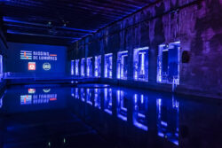 Robe Anolis en Bassins de Lumieres (照片: Nicolas Valette)