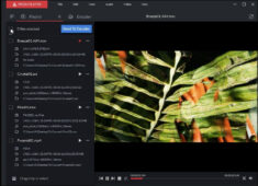 Avolites Prism Player