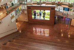 Planar en la Universidad de Clarkson