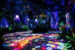 Parque Chimelong Guangzhou y Zhuhai Luminex