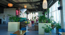 Powersoft en Jungla Forum