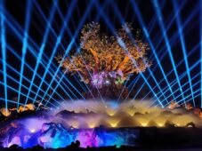 Yinji Animal Kingdom christie wincomn technology