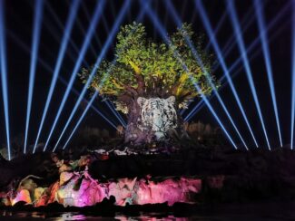 Yinji Animal Kingdom christie wincomn technology