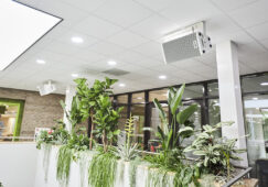 Powersoft en Terra Emmen