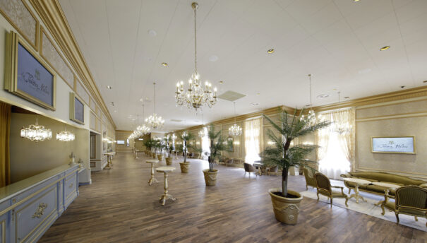 Puy du fou francia telelogos