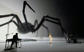 Robe Billie Eilish Livestream Concert XR