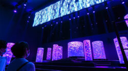 哈曼和艺术水族馆