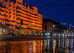 Anolis en hotel Grand Brighton (照片: Bradley Moon y Neha Kher)