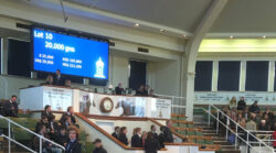 Tattersalls Spectra Displays BrighSing