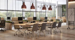 AVIT Vision Biamp megafonia con enmascaramiento acustico